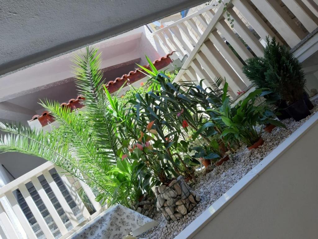 Apartments Duce Ngoại thất bức ảnh