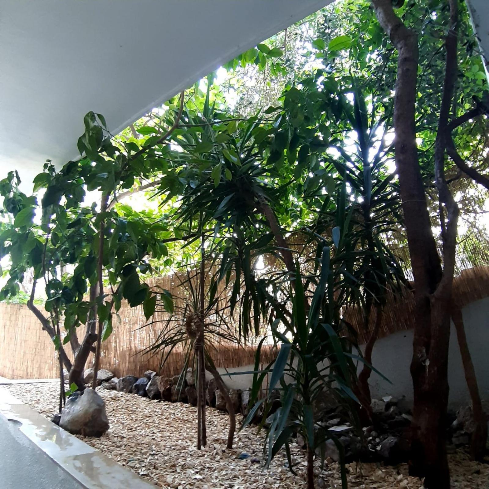 Apartments Duce Ngoại thất bức ảnh